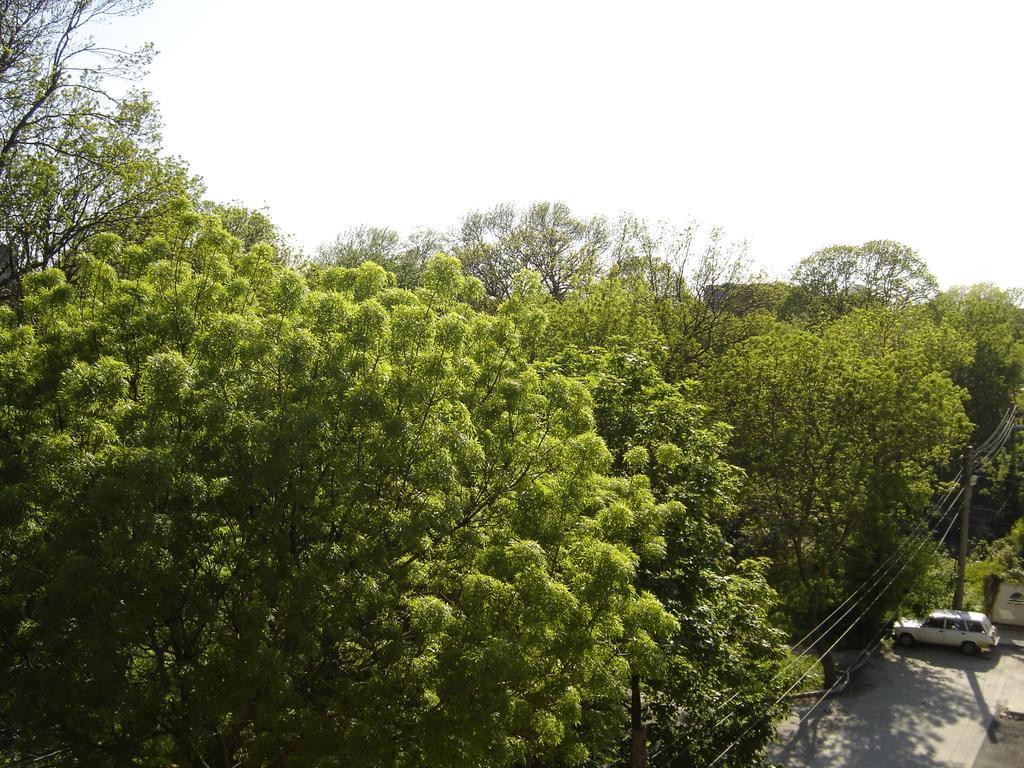 Central Park Family Hotel Cavarna Exterior foto